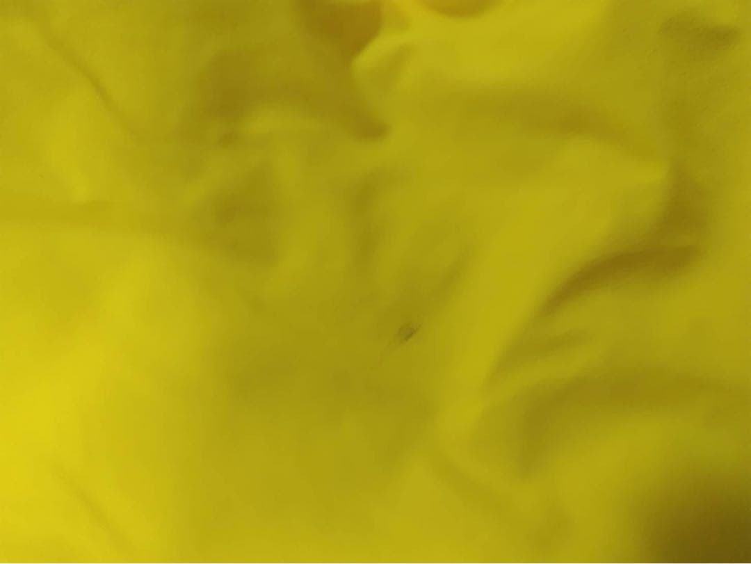 お値下げ　ダイネーゼ　Dainese 子ども用 スキーウェア