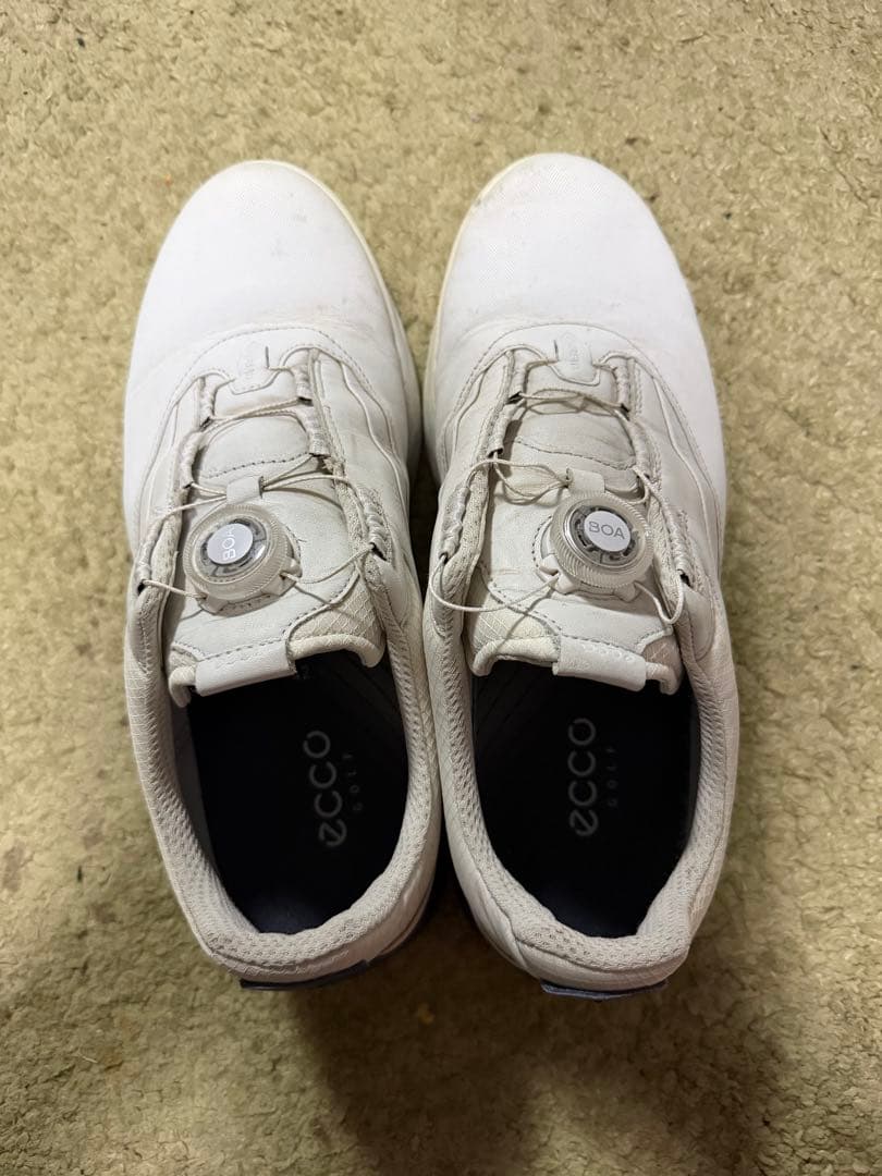 Ecco ゴルフシューズ サイズ42