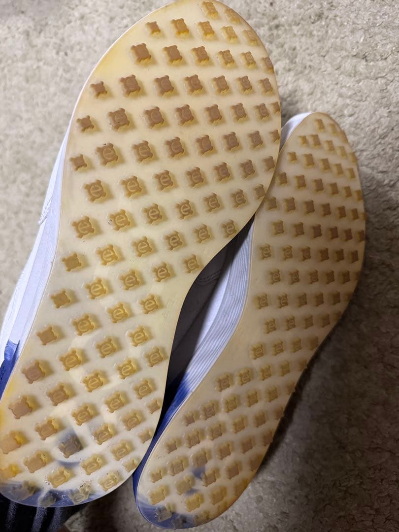 Ecco ゴルフシューズ サイズ42