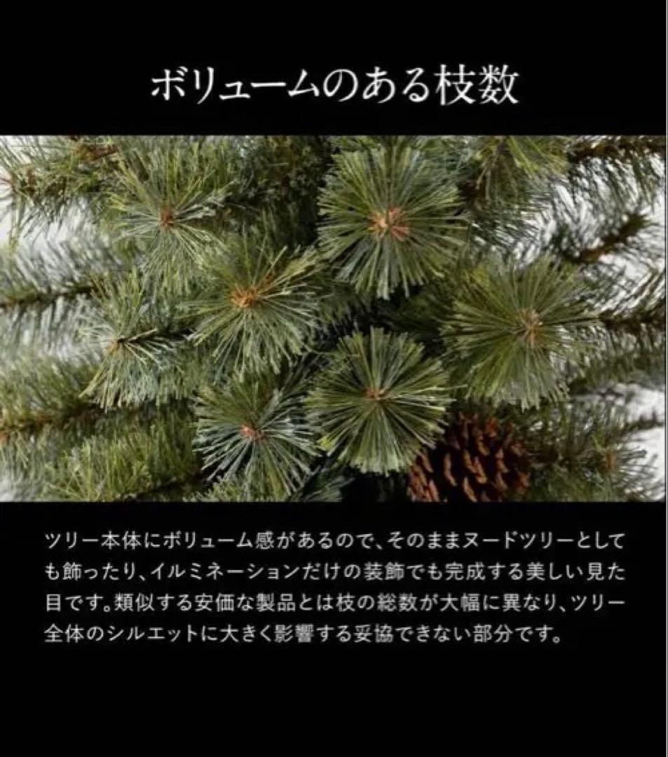 Alsace 210 クリスマスツリー 2025