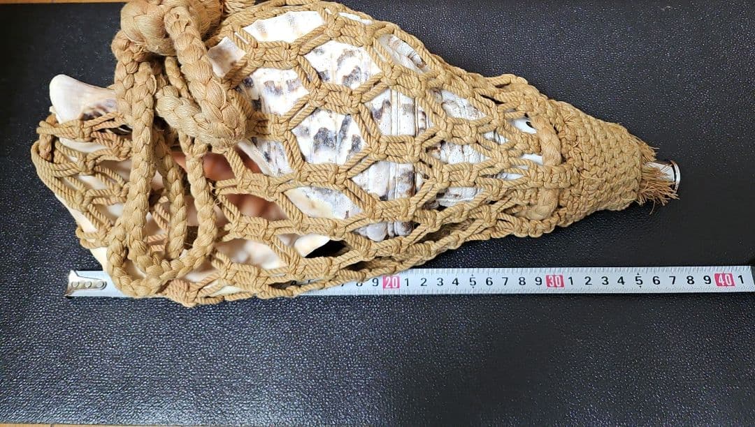 和楽器 ホラ貝 ネット付き　法螺貝