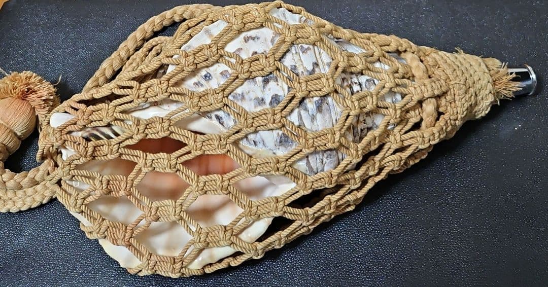 和楽器 ホラ貝 ネット付き　法螺貝