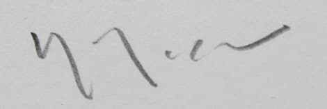 ヒロヤマガタ 【ハイビスカス】 シルクスクリーン