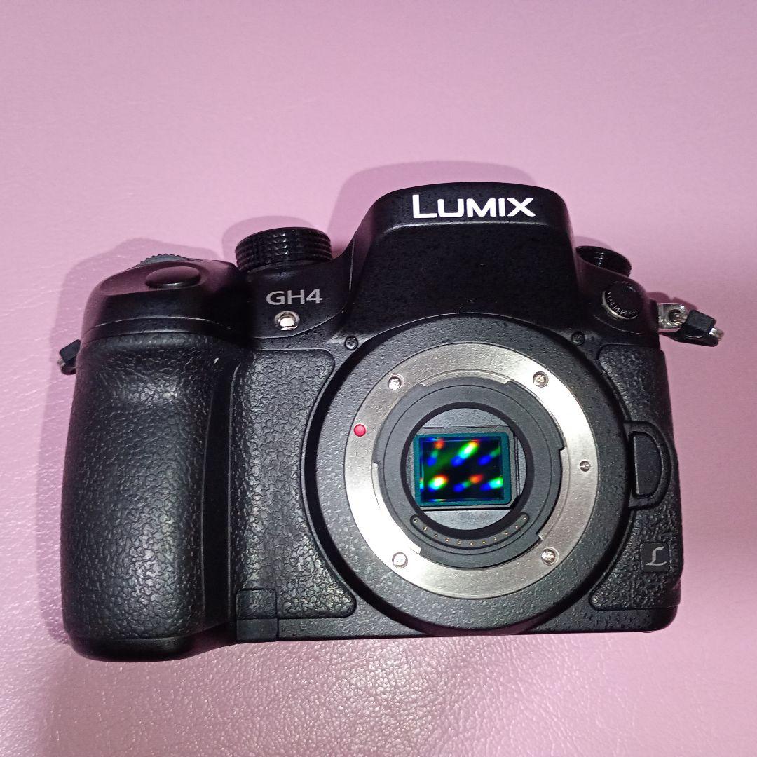 【中古美品】LUMIX GH4 / 1331ショット / バッテリー2個
