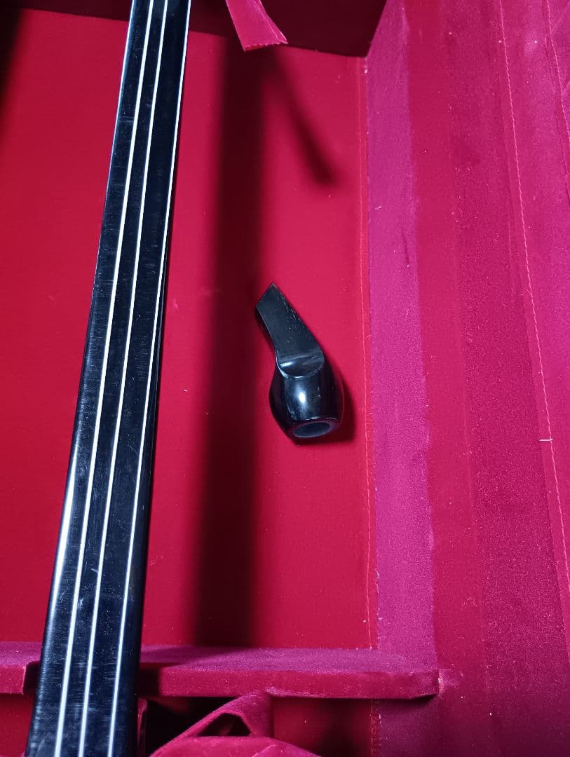 沖縄 三線 本体 ケース付 蛇皮 胴巻uティーガー付