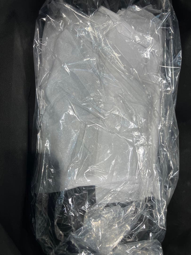 Backpack ノースフェイス セシリーバンセン　バックパック　新品未開封