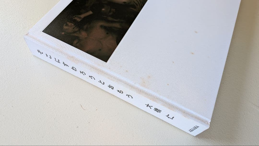 そこにすわろうとおもう　大橋仁　赤々舎