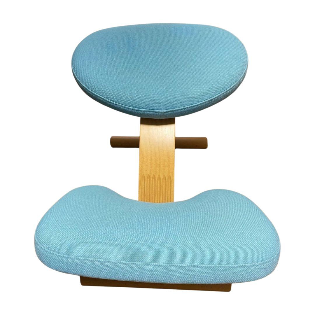 【美品】サカモトハウス バランスチェア・イージー 取説付き