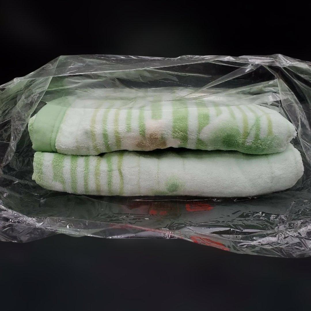 SANYO 電気毛布 BKS-PC201(G) ス・ヤ・ヤ　快眠プログラム搭載