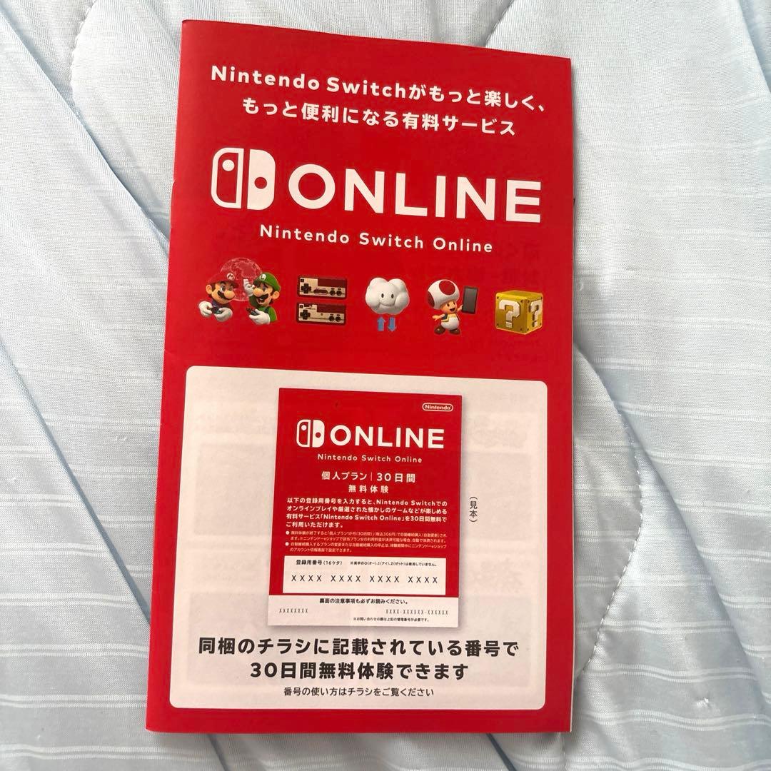 Nintendo Switch Lite 充電器付き　おまけでカバーも