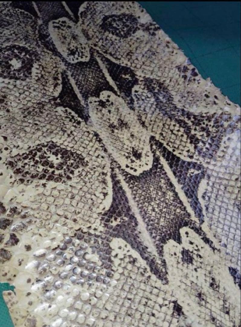 専用　開運　大蛇の革最強呪物3m36㎝　購入者が説明読み購入金額決めて下さい