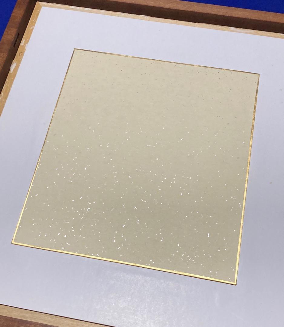 真作 野間仁根 かれい◇水彩、額装済