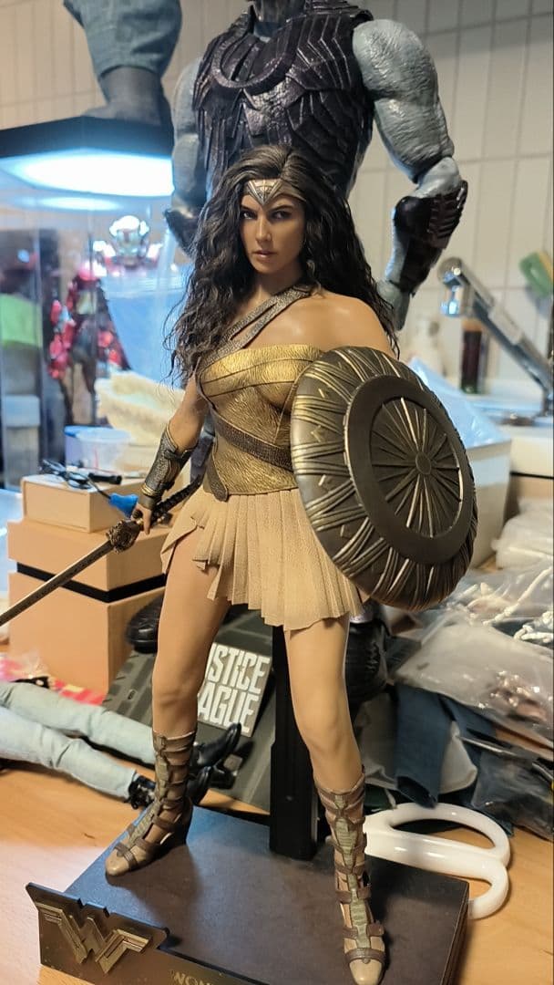 ホットトイズワンダーウーマン 天堂島訓練カスタマイズ