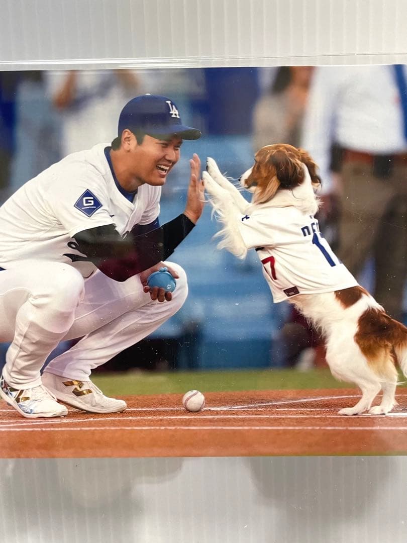 大谷翔平 ボブルヘッド &プリントサイン入りボール& Topps カード