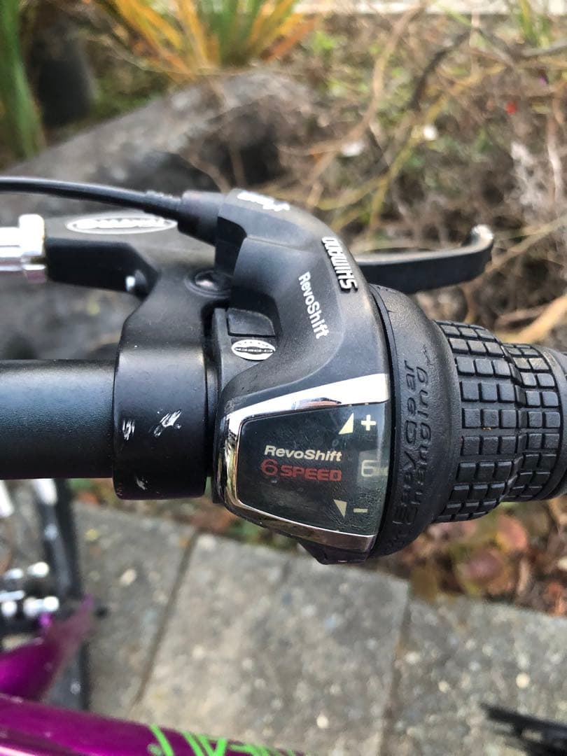 ルイガノジュニア22インチ　現行モデル