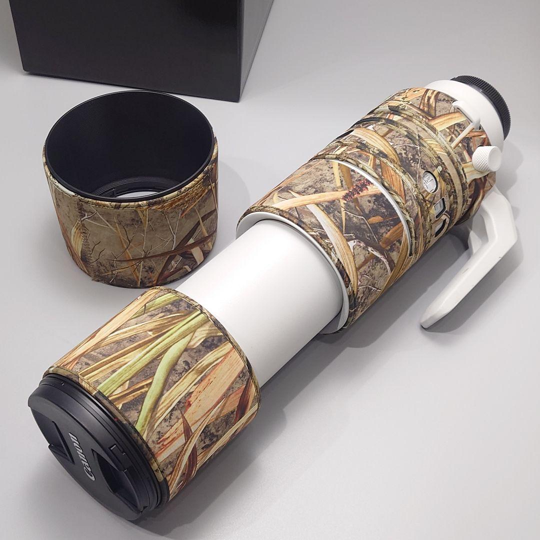 Canon RF200-800mm F6.3-9 IS USM 美品