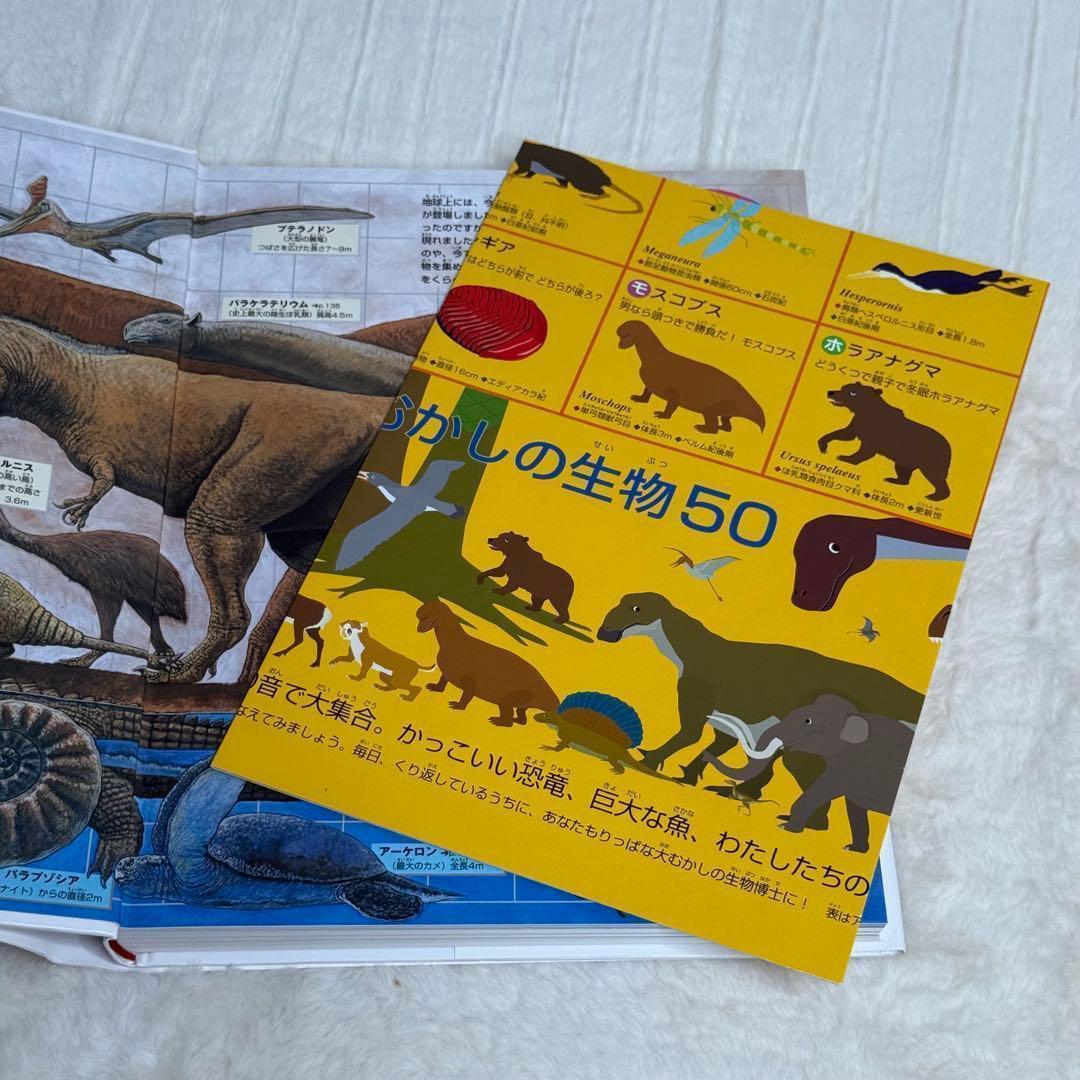 【良品・カバーあり】小学館の図鑑NEO 全巻20冊セット （良品・付録つき多数）