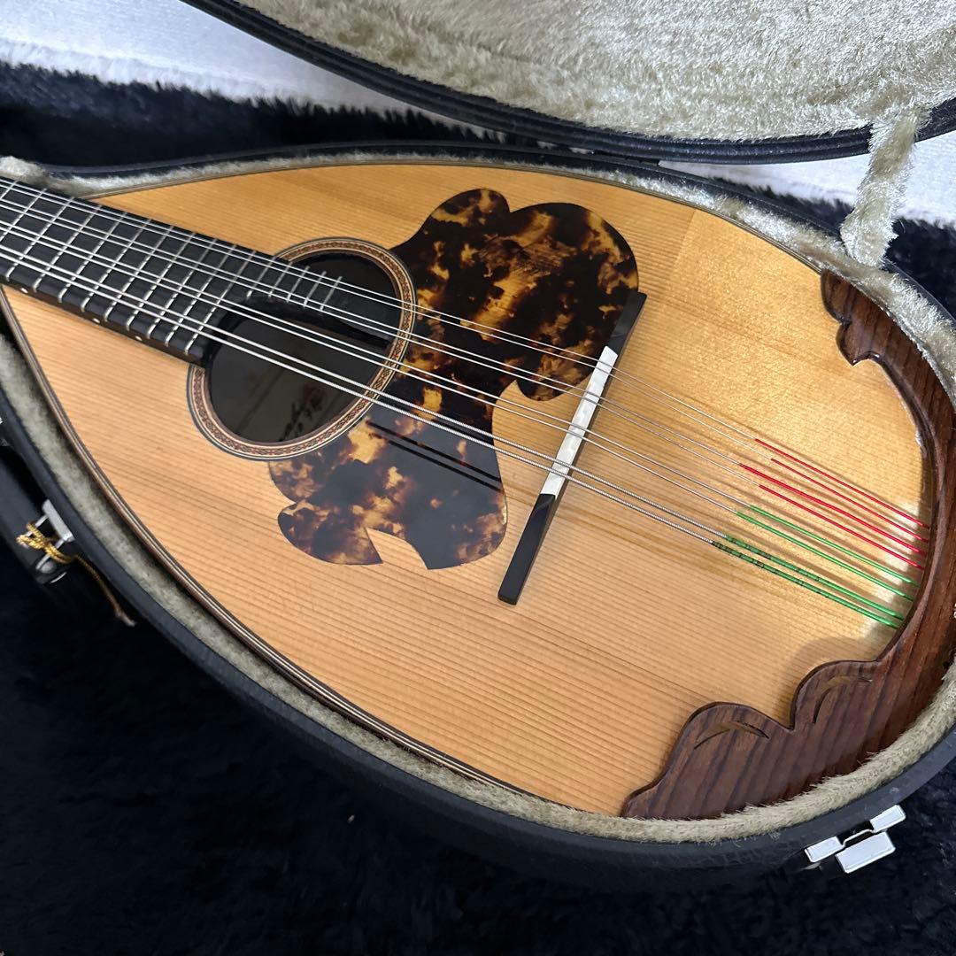 激レア! S.Watanabe No.250 マンドラ 弦楽器 ケース付属