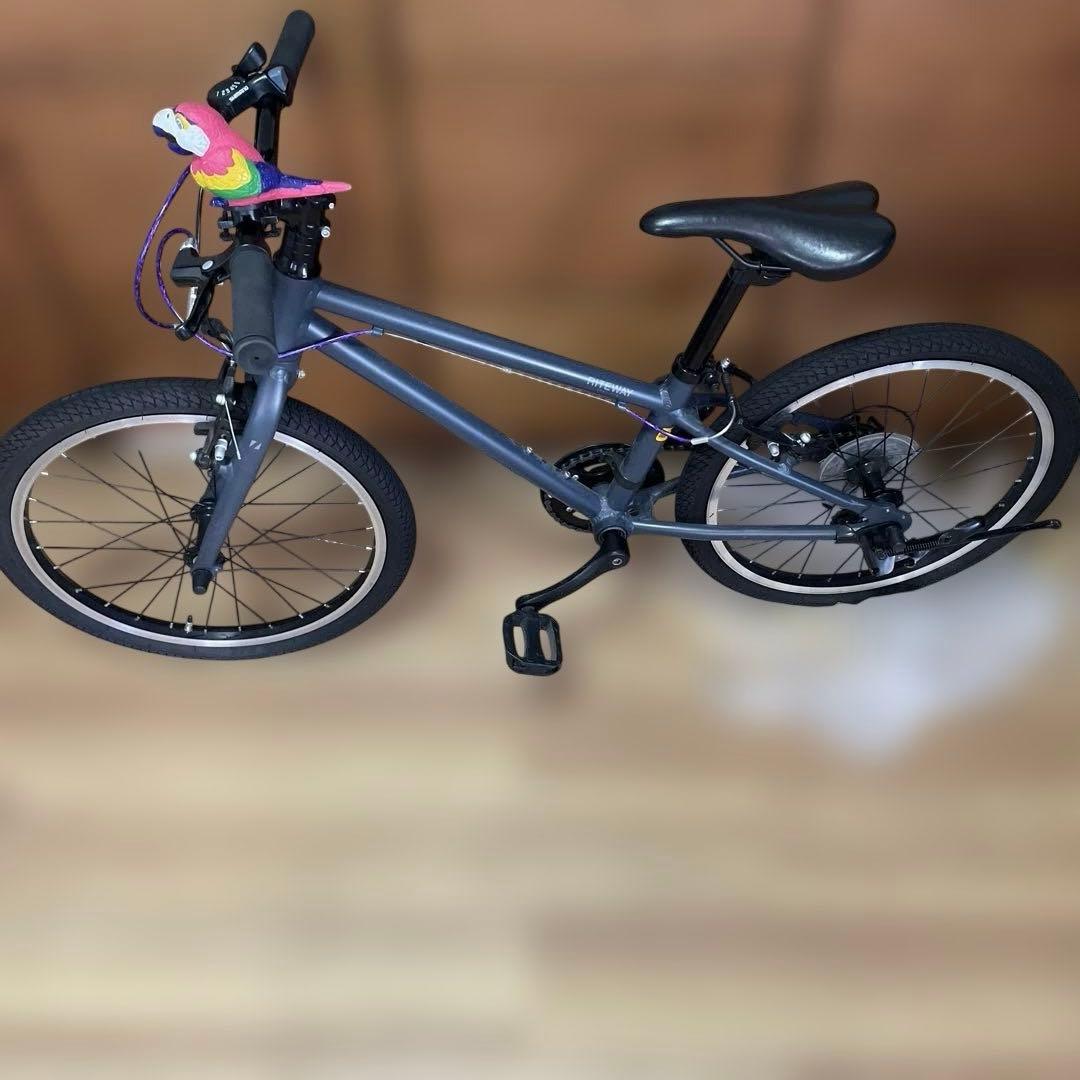 【タイペイ】RITEWAY ライトウェイ　20インチ　ブラック