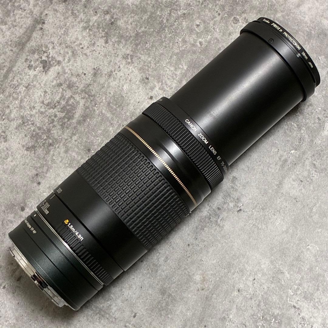⭐️美品⭐️Canon EF 75-300 II & EF-EOS R アダプター