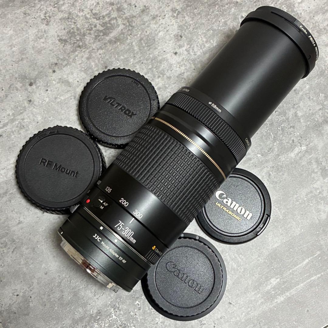 ⭐️美品⭐️Canon EF 75-300 II & EF-EOS R アダプター