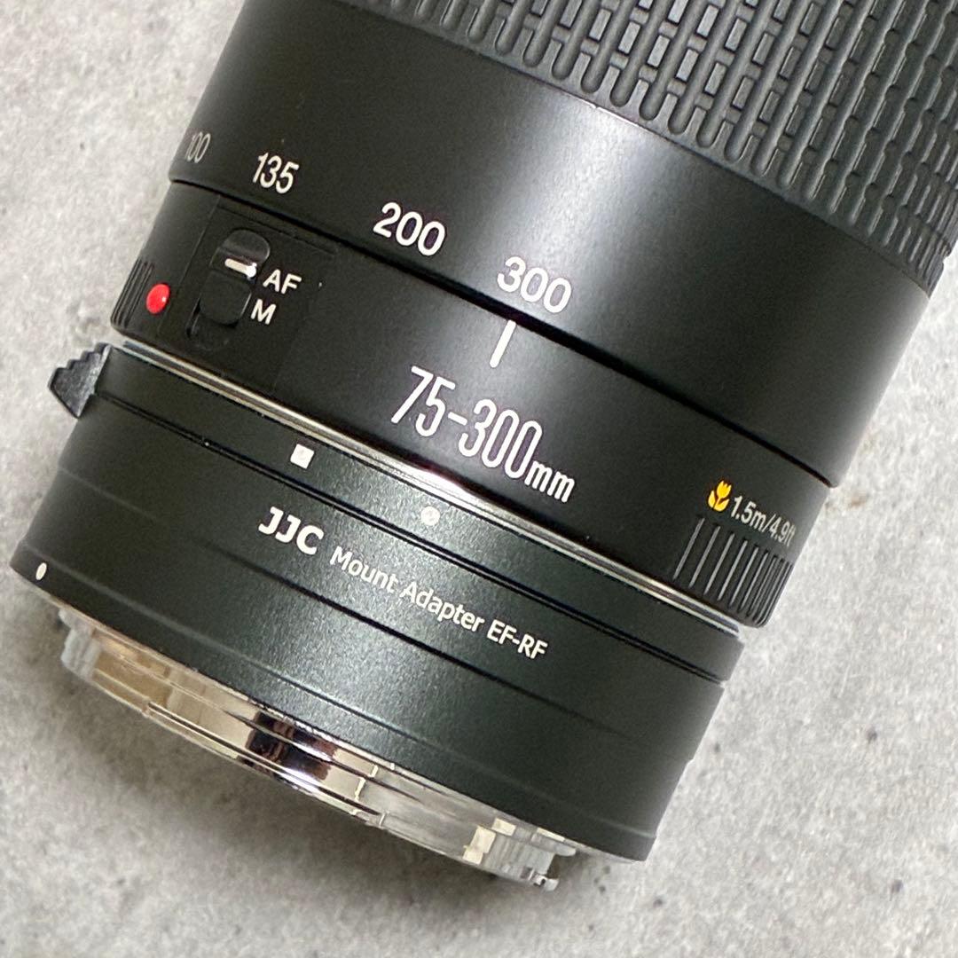⭐️美品⭐️Canon EF 75-300 II & EF-EOS R アダプター