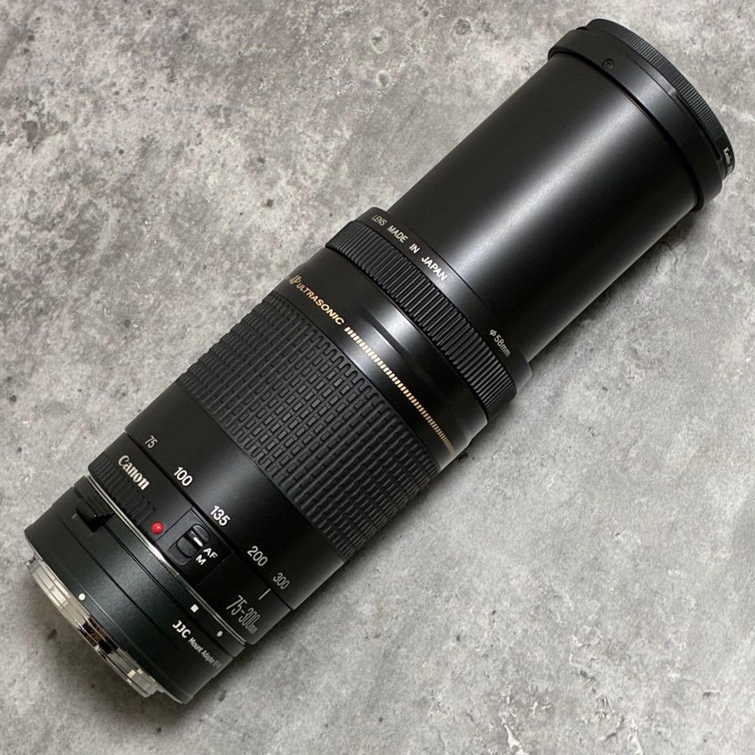 ⭐️美品⭐️Canon EF 75-300 II & EF-EOS R アダプター