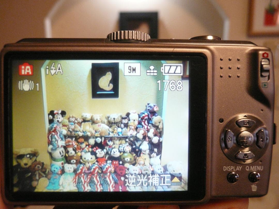 LUMIX★DMC-TZ5⭕️実働品⚠️必読有★光学10倍ズーム★910万画素