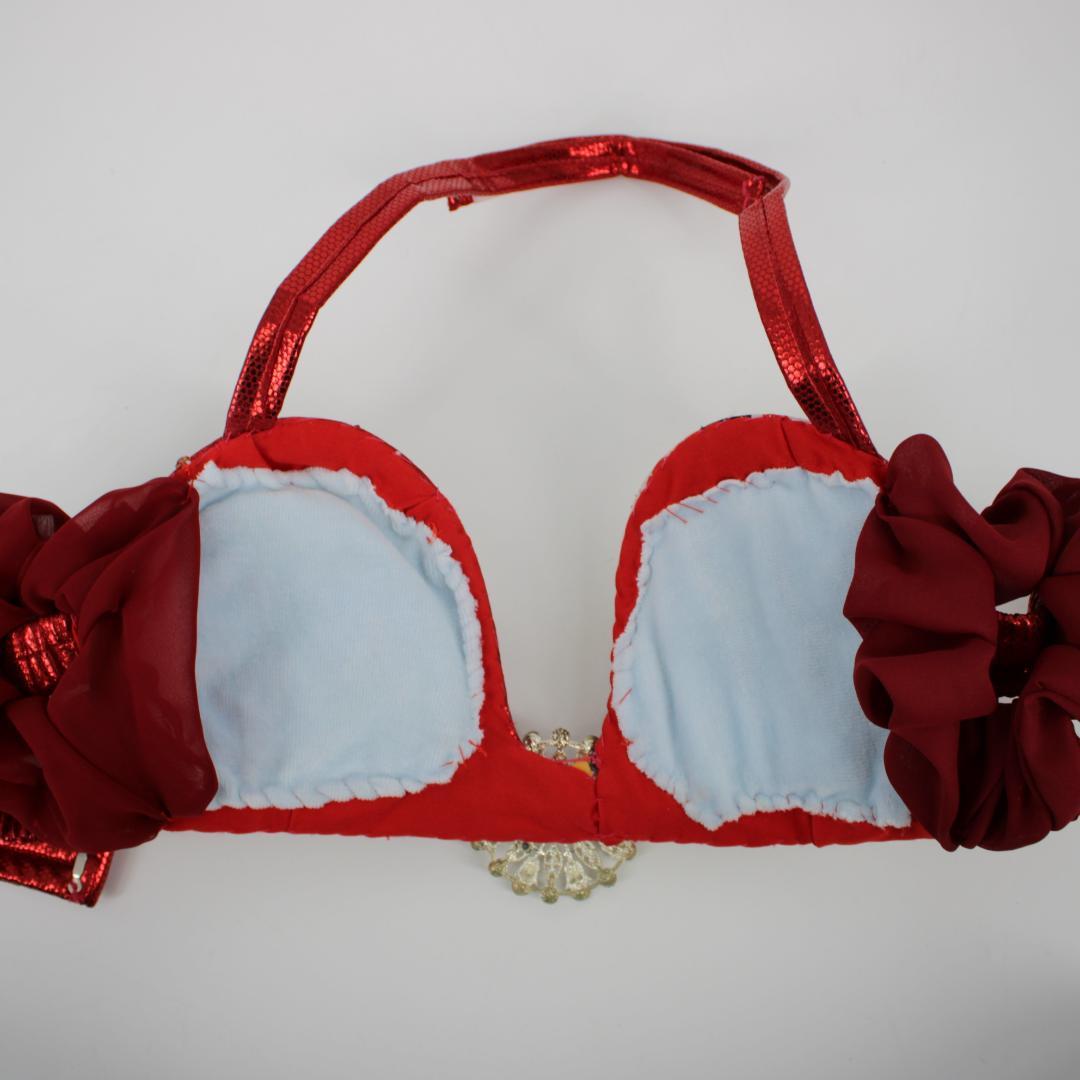 【ベリーダンス用オリエンタル衣装】多数ビジュー付き ラメ入りレッド 上下セット