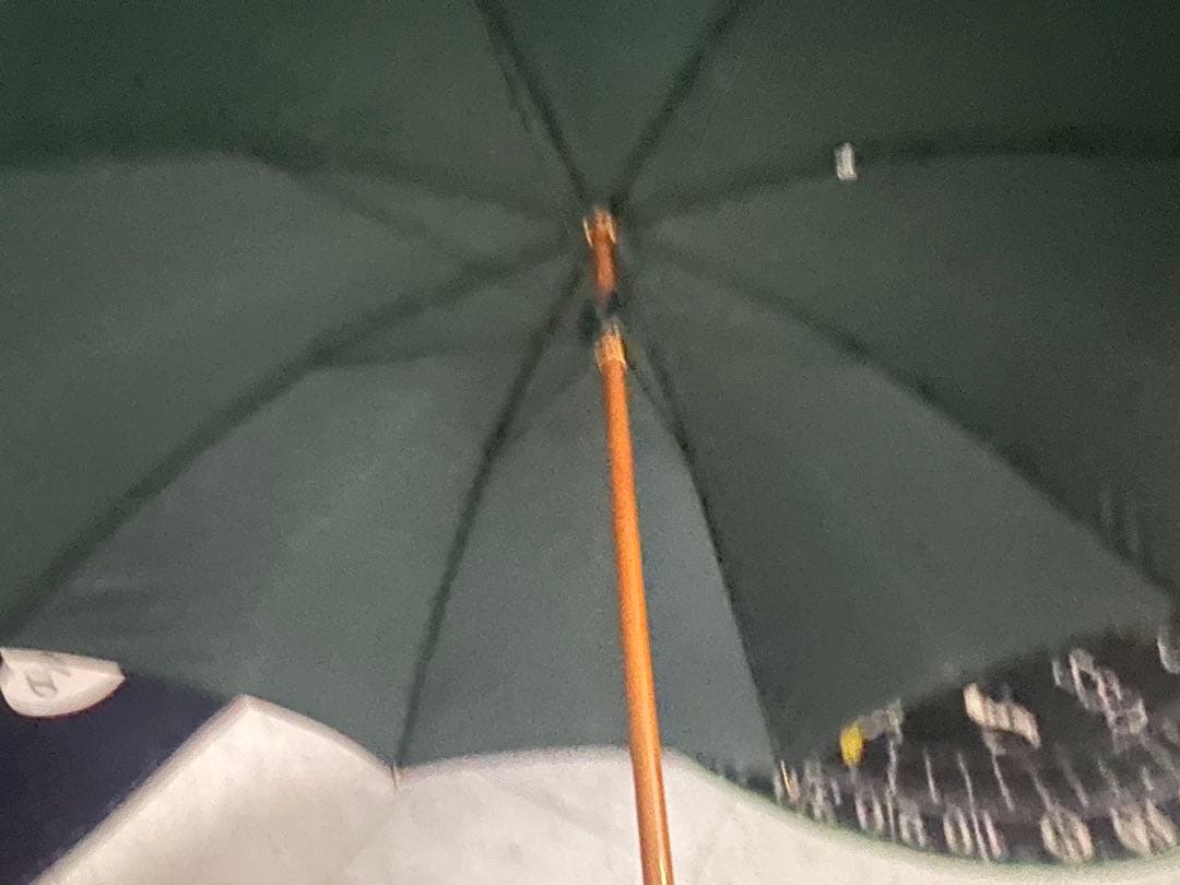 ルイヴィトン M70117 タイガ パラプリュイ 雨傘 長傘 - メルカリ