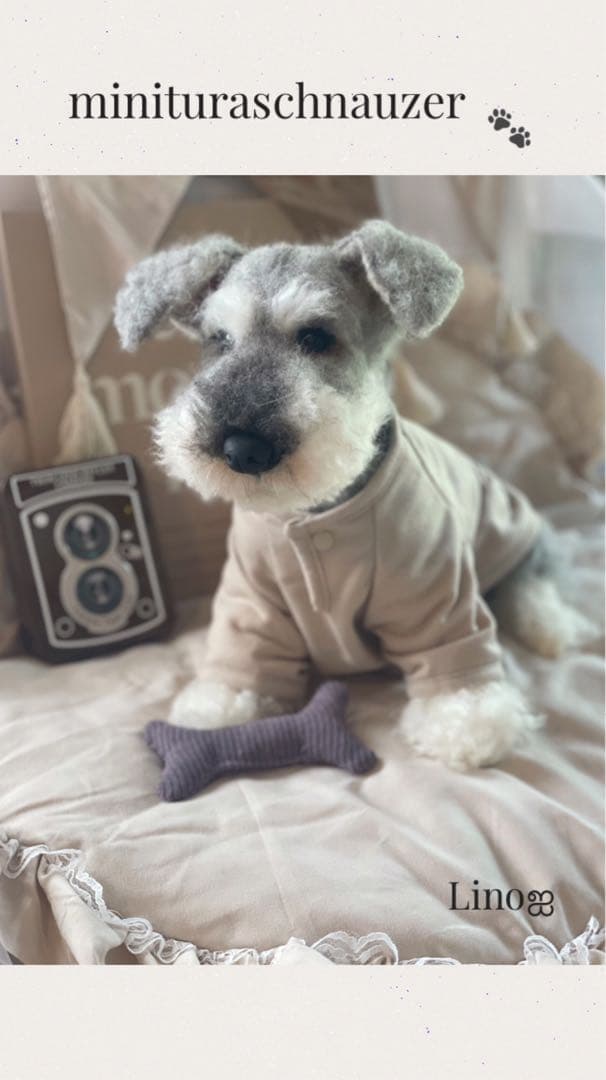 ஐ羊毛フェルト ੯•`໒ミニチュアシュナウザー-ジャパン公式オンライン