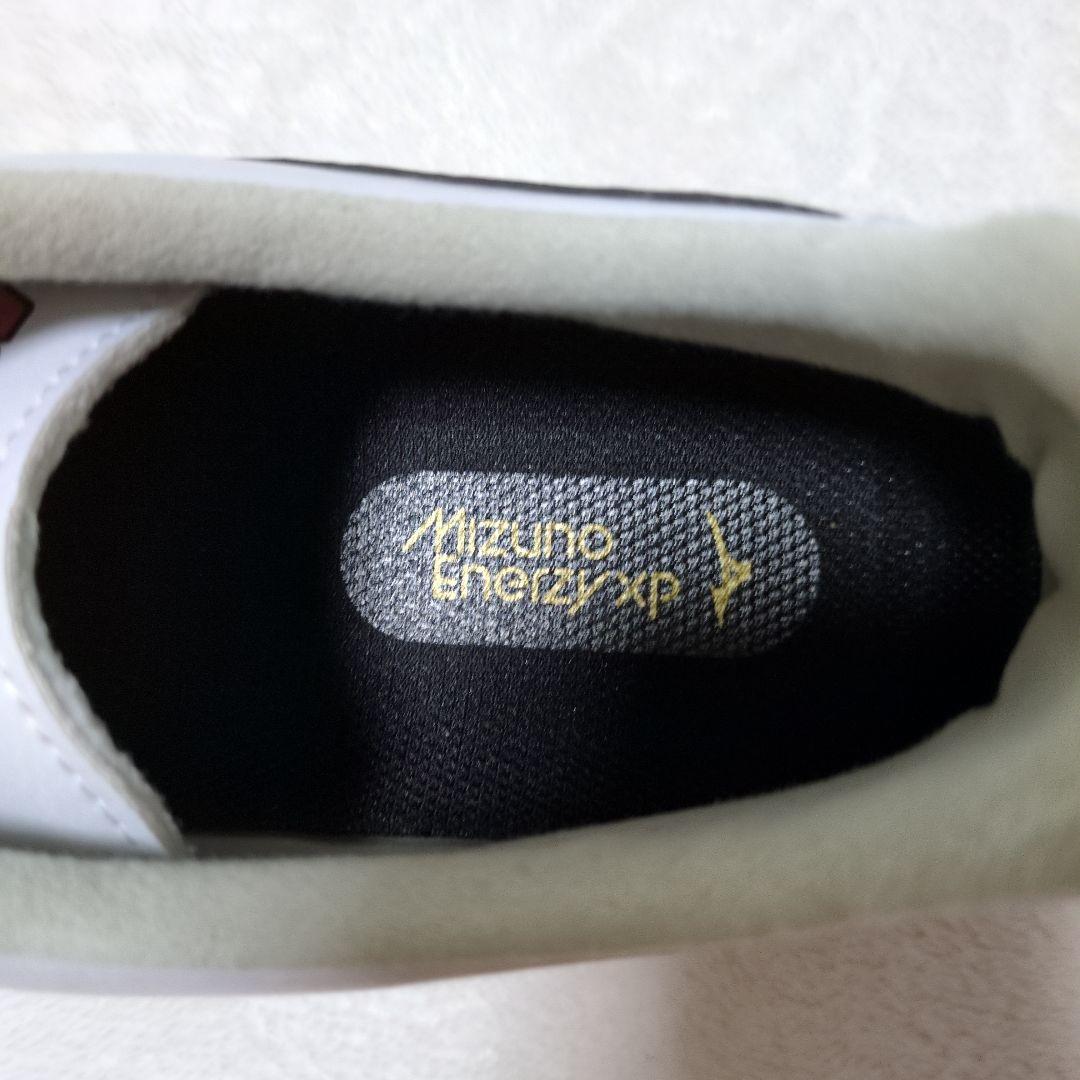 MIZUNO モレリア SALA PRO TF 28.0 フットサルシューズ