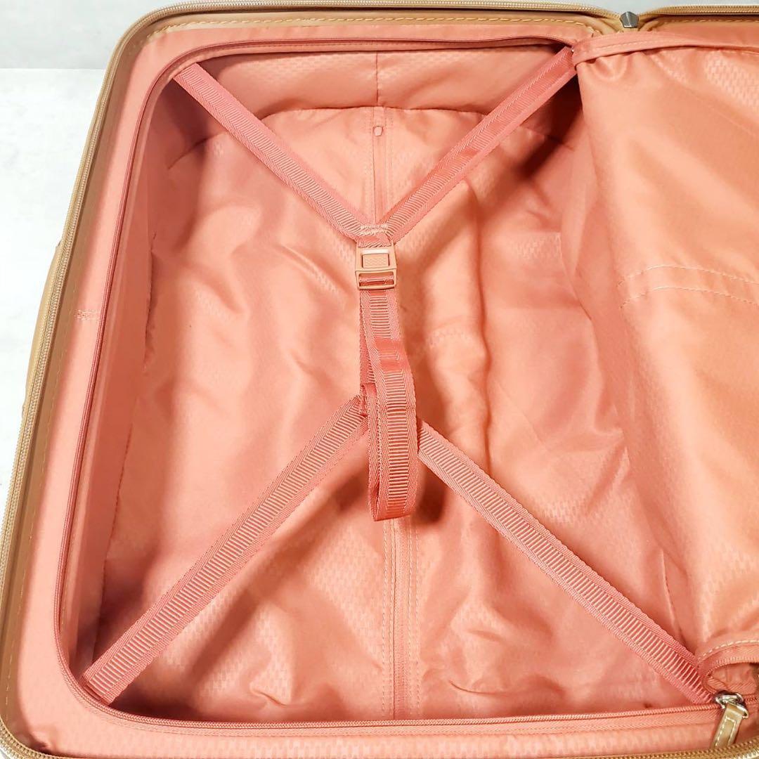 DELSEY シャトレエアー 64L ブラウン 4輪 軽量スーツケース