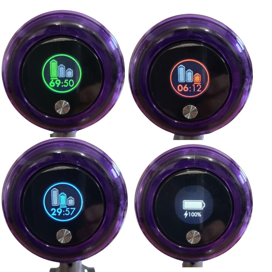 ダイソン掃除機　V11(SV14)本体 分解洗浄メンテナンス済