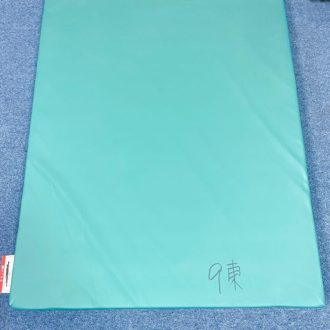 【送料込】molten ソフィアway 介護用マットレス リバーシブル 介護①