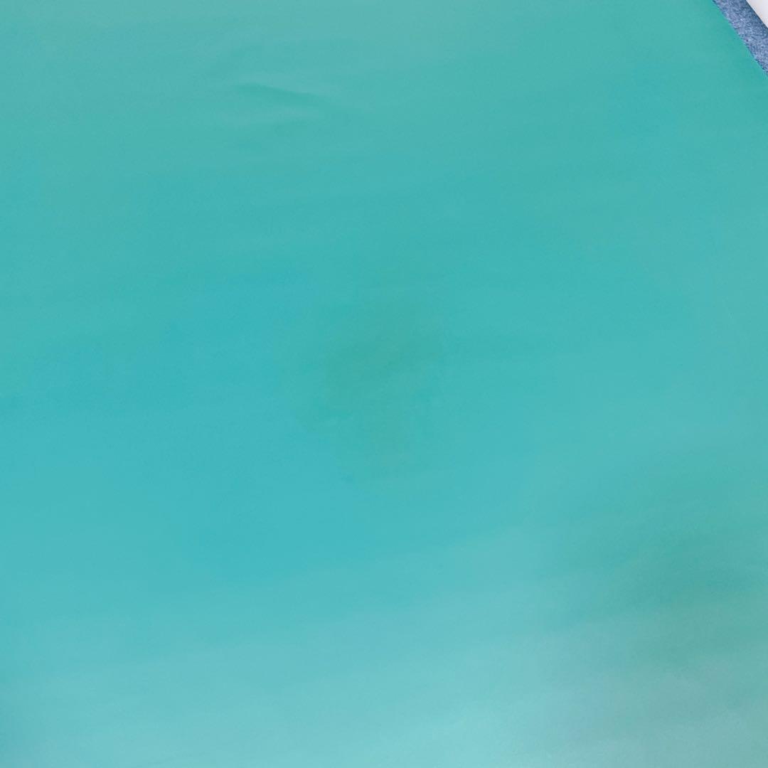 【送料込】molten ソフィアway 介護用マットレス リバーシブル 介護①