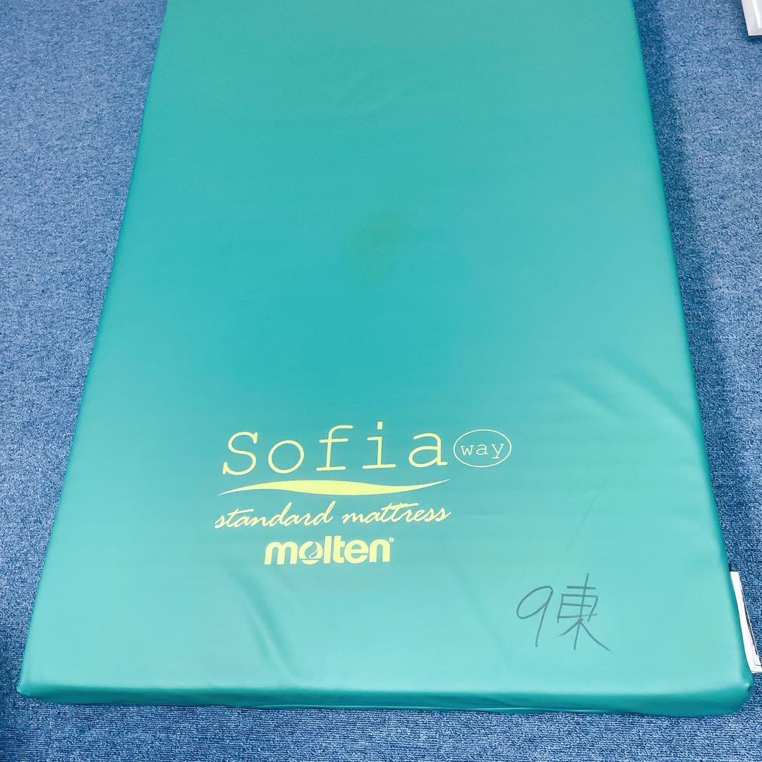 【送料込】molten ソフィアway 介護用マットレス リバーシブル 介護①