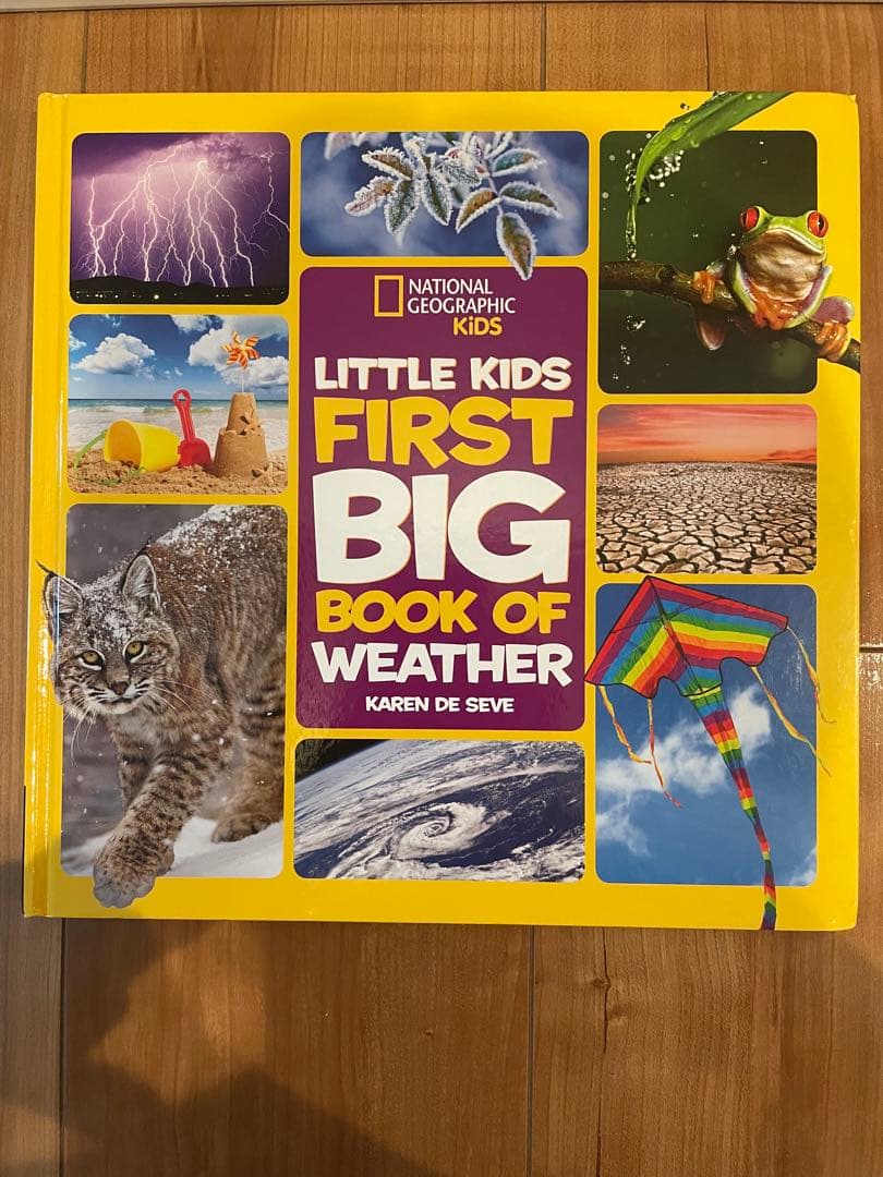 専用 Little Kids' First Big Book of など7冊