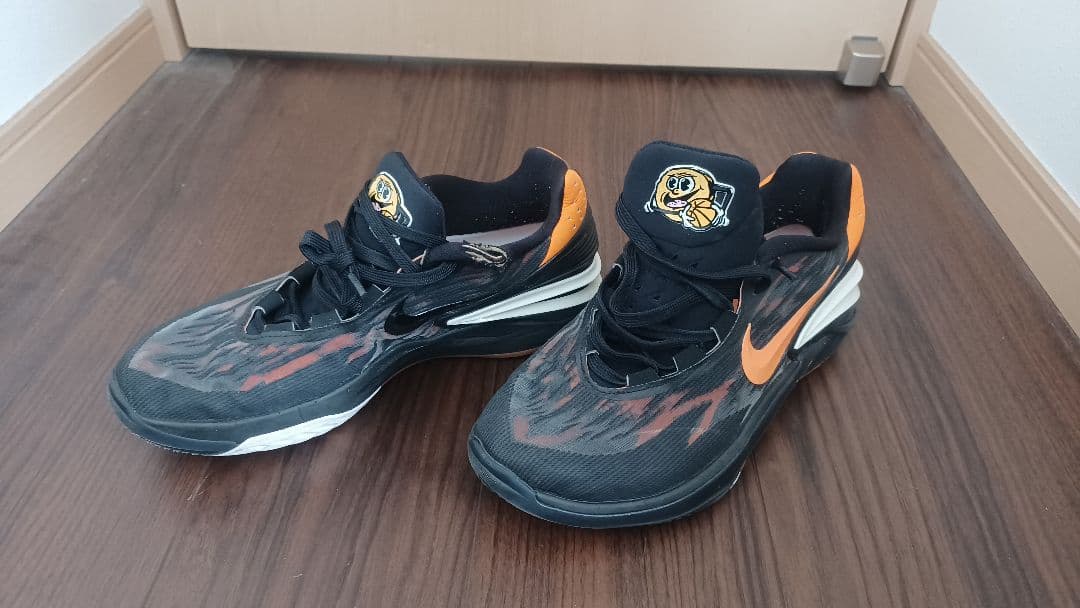 シューズ(男性用) NIKE AIR ZOOM G.T.CUT2