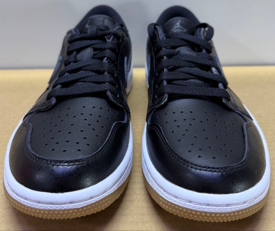 NIKE ナイキ エアジョーダン 1 ロー ゴルフ AJ1 LOW G 24cm