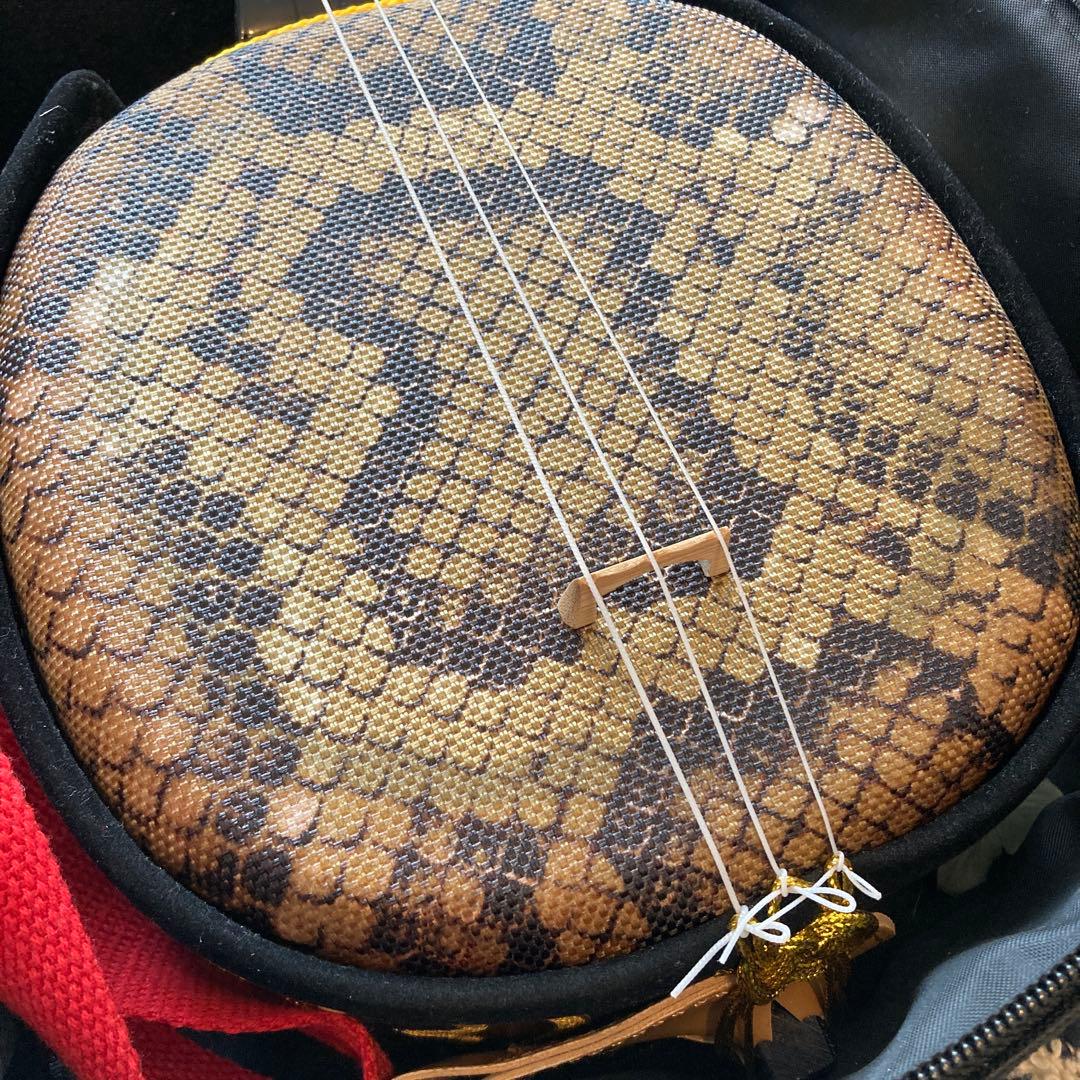 沖縄三線入門セット ケース.本.DVD付き