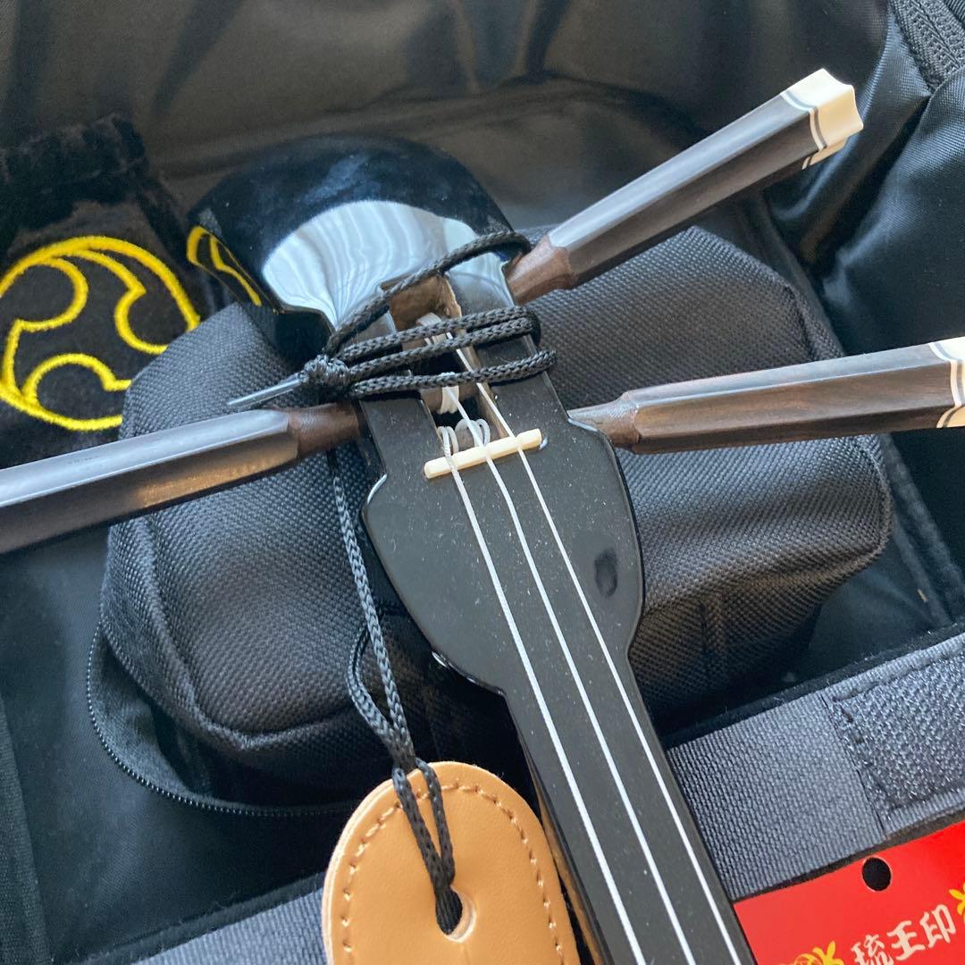 沖縄三線入門セット ケース.本.DVD付き