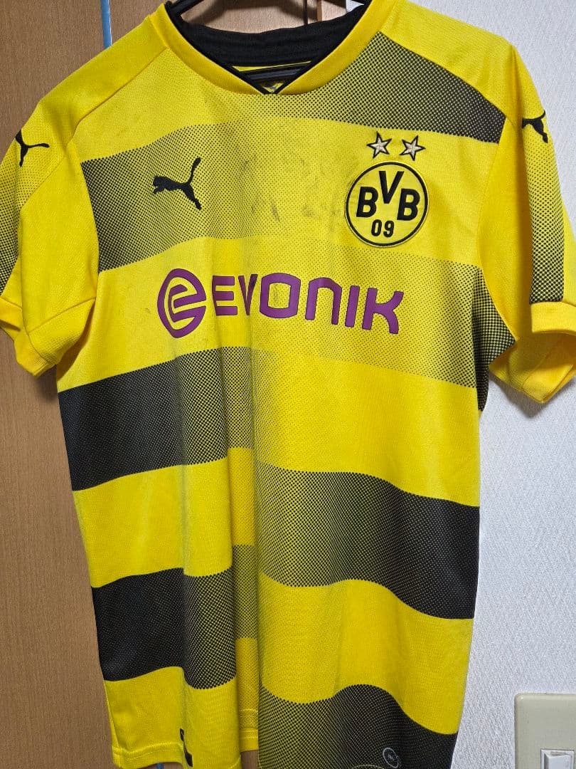 選手・スタッフプロフィール: 新品 2009-2010 川崎フロンターレ