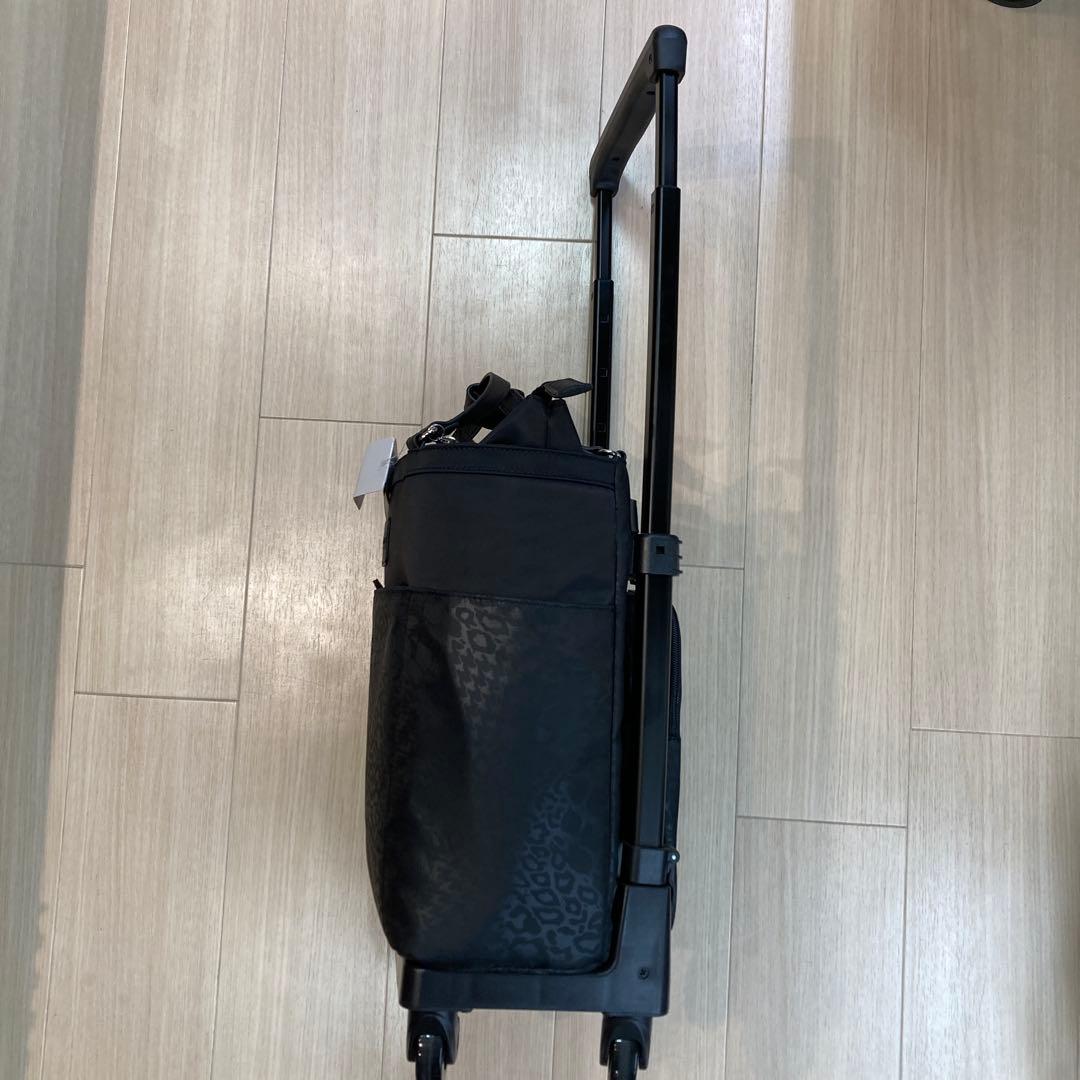 スワニー　キャリーバッグ