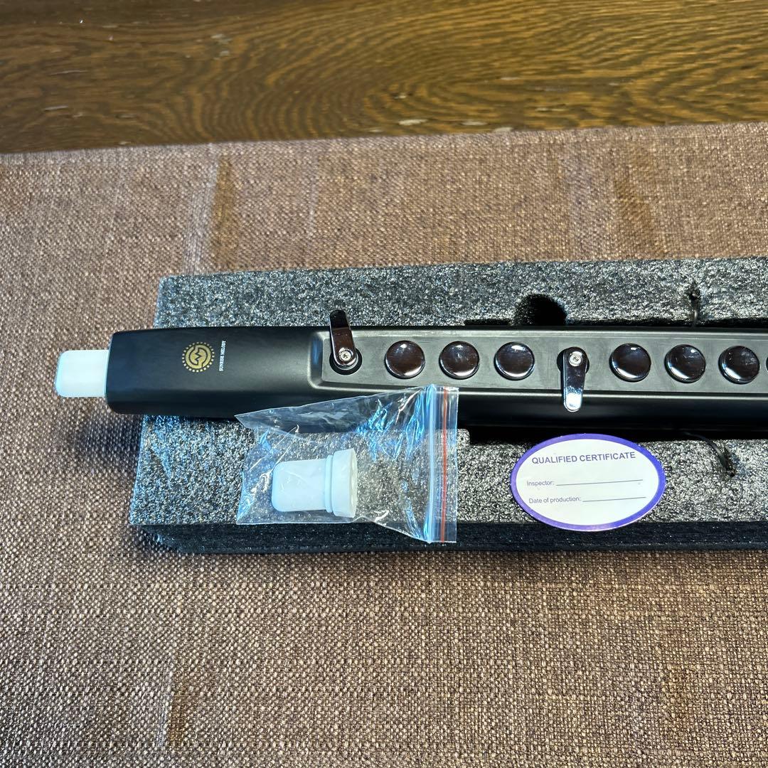 電子サックス　専用ケースと新品マウス付