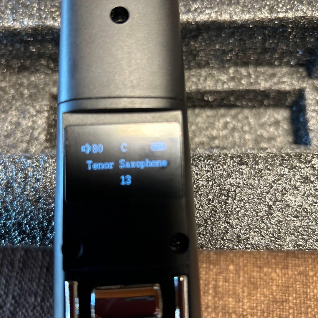 電子サックス　専用ケースと新品マウス付