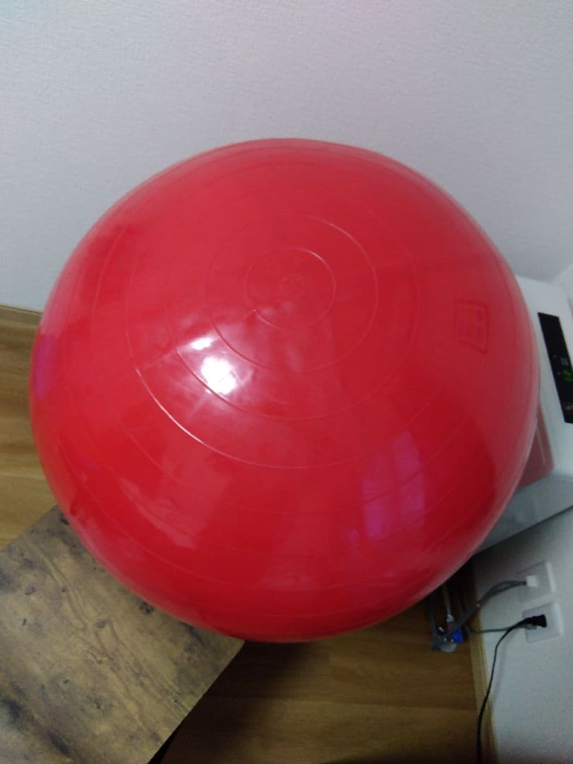 ギムニク GYMNIC フィジオロール 直径85cm 送料 無料 通販