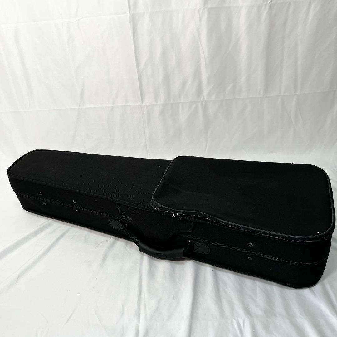 Hallstatt V-12 4/4 バイオリン ケース付　ヴァイオリン