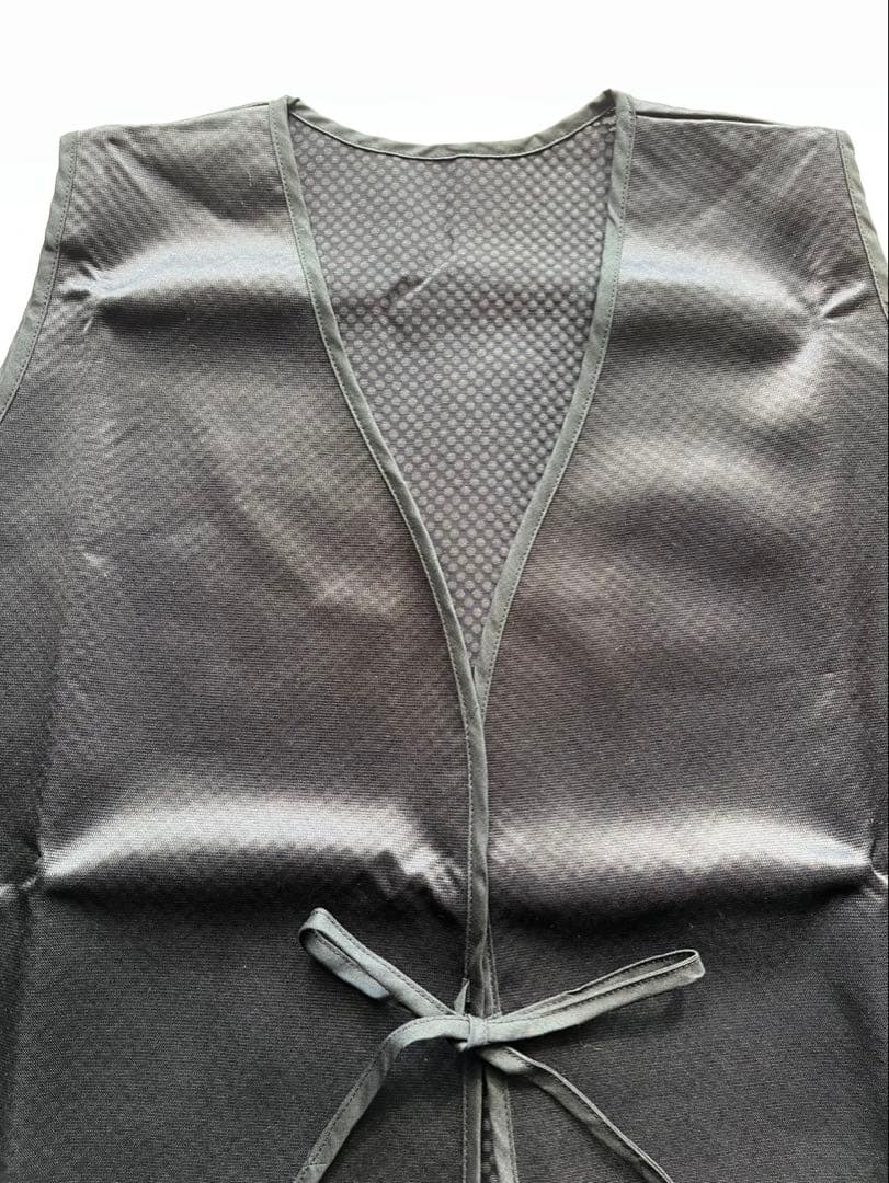 天女の羽衣　蓮花戯水