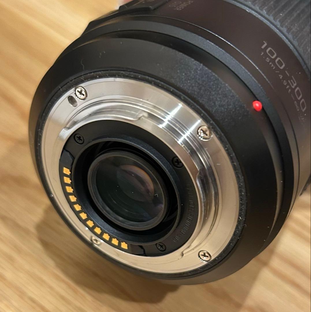 レンズ(ズーム) LUMIX G VARIO 100-300mm H-FSA100300